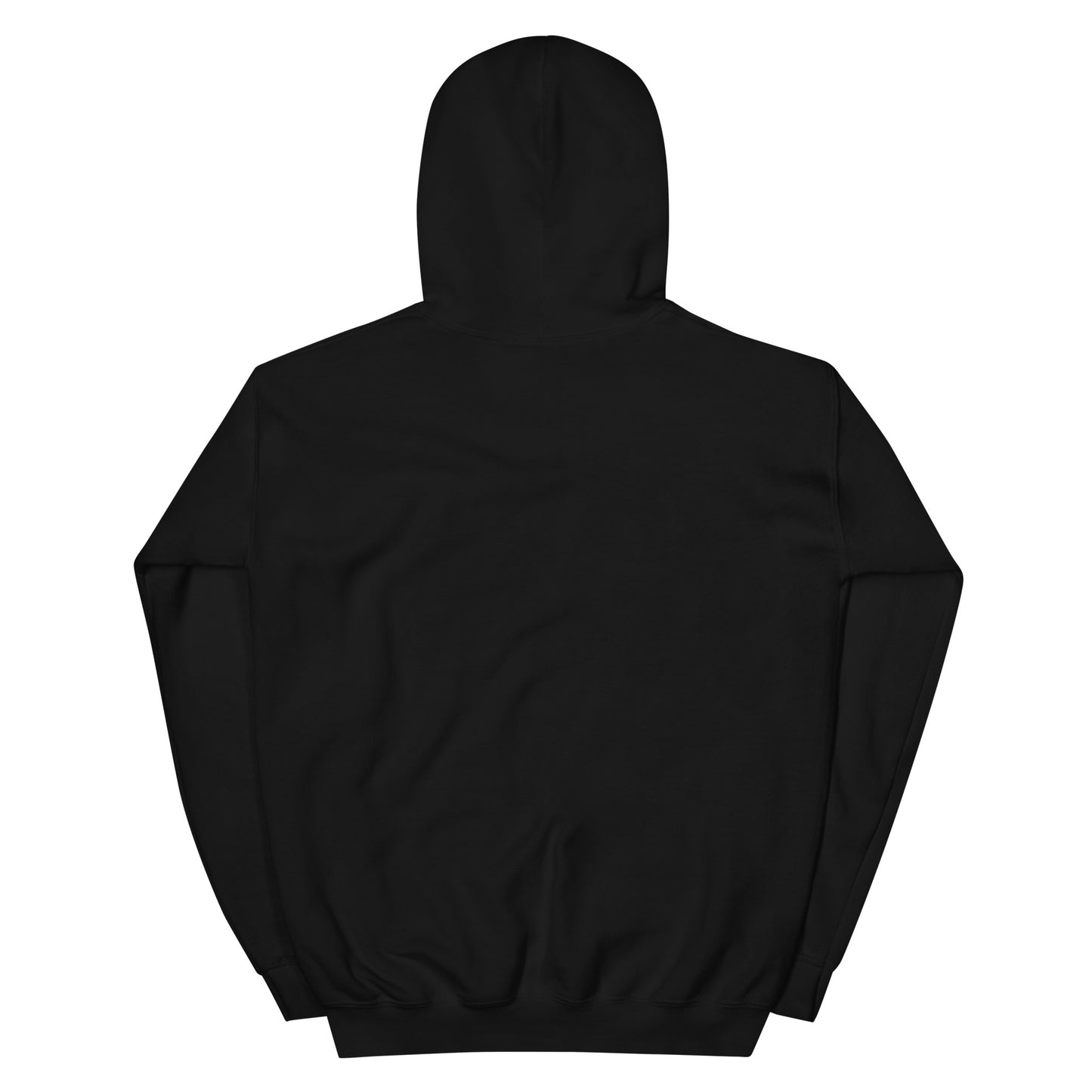 Kingdom Kid Unisex Hoodie